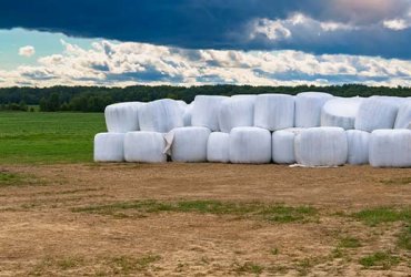 Silaj Kalitesi Nasıl Anlaşılır ?