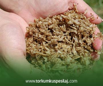 35 Kg. Çuvallı Silaj